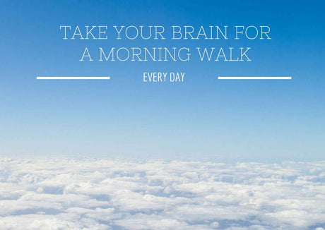 Brain for a Morning Walk